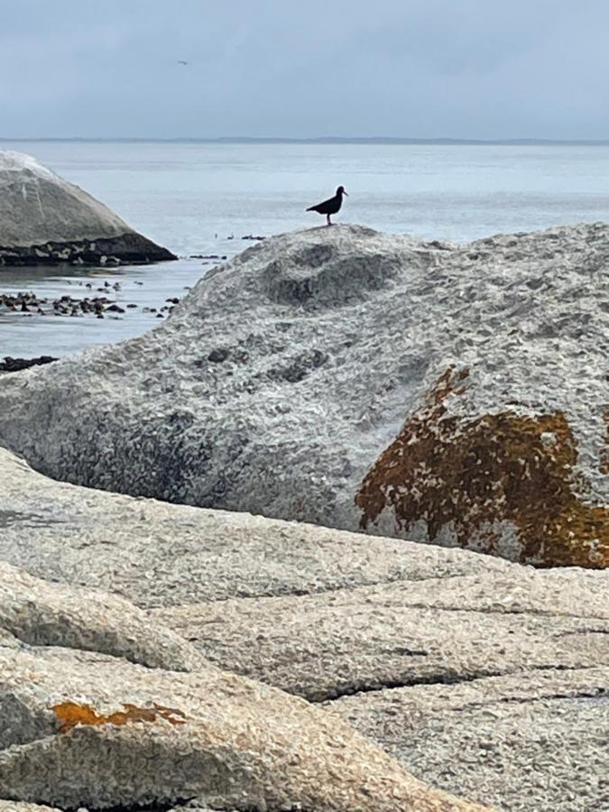 شقة Whale Rock كيب تاون المظهر الخارجي الصورة